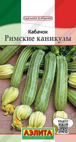 0449 Кабачок цуккини Римские каникулы 1 г