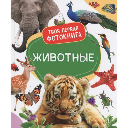 Книга 978-5-353-10526-8 Животные. Твоя первая фотокнига в Нижнем Новгороде