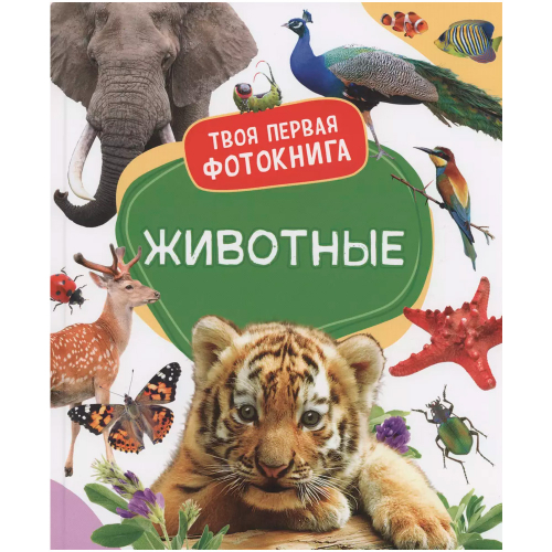 Книга 978-5-353-10526-8 Животные. Твоя первая фотокнига в Нижнем Новгороде