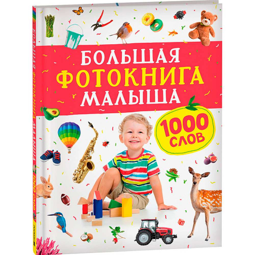 Книга 978-5-353-10544-2 Большая фотокнига малыша. 1000 слов в Нижнем Новгороде