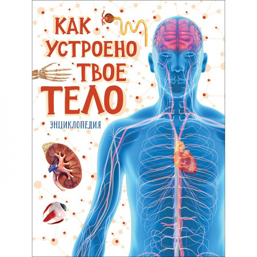 Книга 978-5-353-05159-6 Как устроено твое тело в Нижнем Новгороде