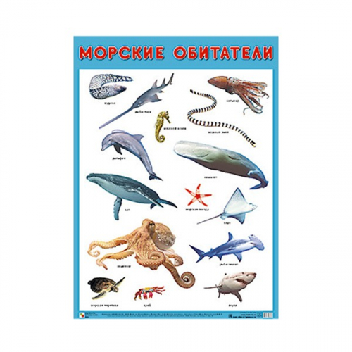 Плакат 978-5-43151-706-8 Морские обитатели. Развивающие плакаты в Нижнем Новгороде