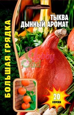 Тыква Дынный Аромат (20 шт) ЭКЗОТИКА