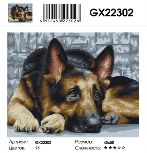 GX 22302 Овчарка Картины 40х50 GX и US