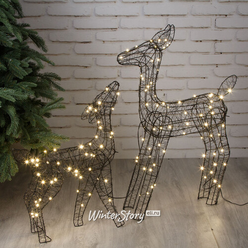Набор светящихся оленей Gold Coast - Deers, 2 шт, 59-78 см, 120 теплых белых Big&Bright LED ламп, IP44 (Kaemingk)