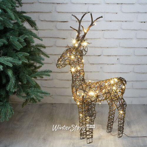 Светящийся олень Rottweil Deer 69 см, 48 теплых белых LED ламп, IP44 (Kaemingk)