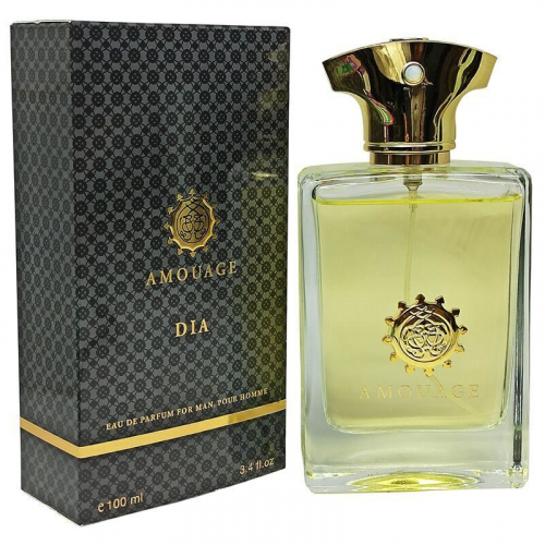 Amouage Dia Pour Homme 100 ml