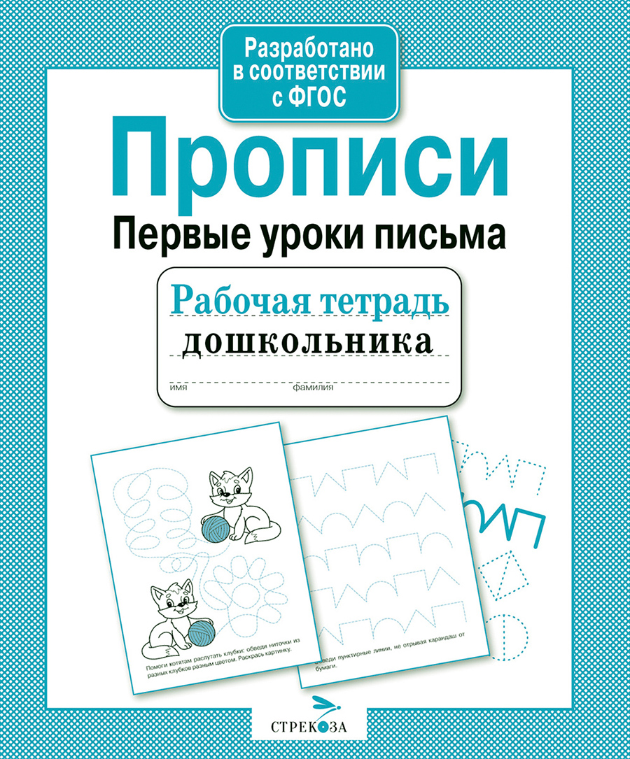 Р/т дошкольника. Прописи. Первые уроки письма