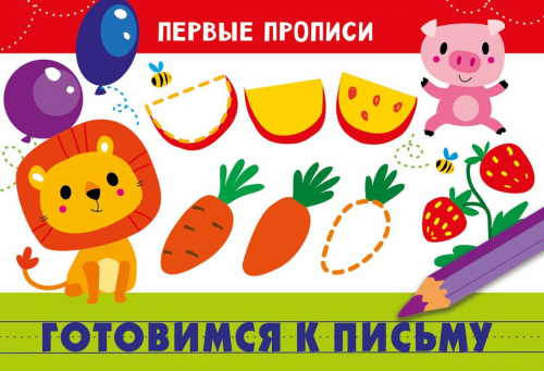 ПЕРВЫЕ ПРОПИСИ. Готовимся к письму