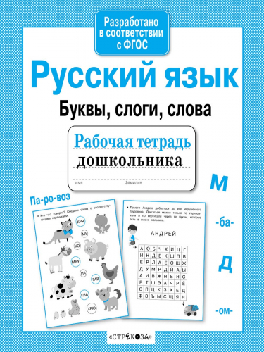 Р/т дошкольника. Русский язык. Буквы, слоги, слова