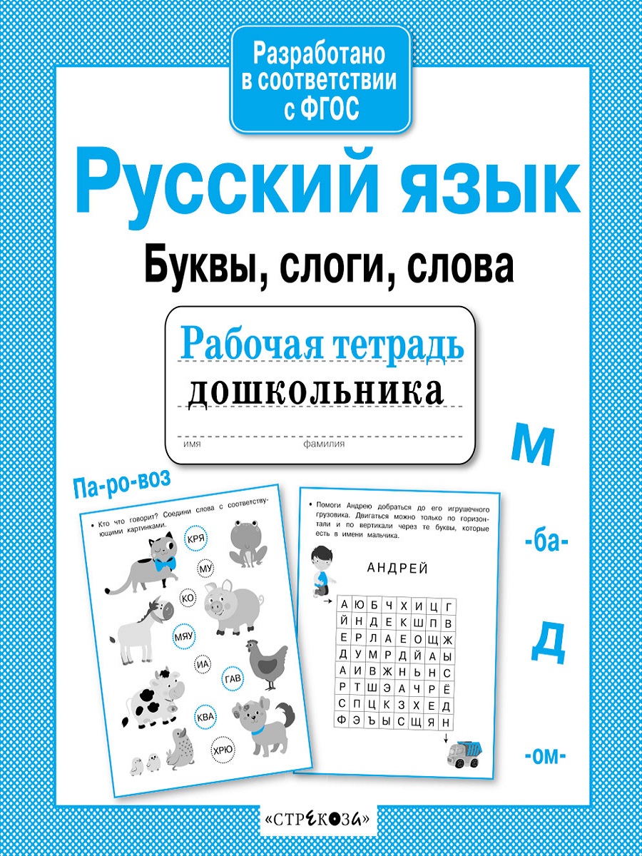 Р/т дошкольника. Русский язык. Буквы, слоги, слова