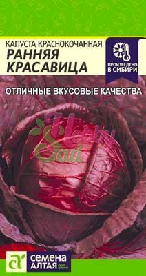 Капуста Ранняя Красавица Краснокочанная (0,3 гр) Семена Алтая