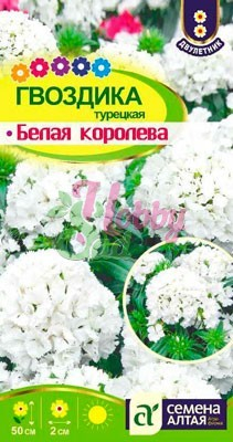 Цветы Гвоздика Белая королева турецкая (0,2 г) Семена Алтая