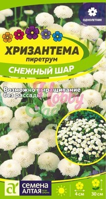 Цветы Хризантема Снежный шар пиретрум (0,01 г) Семена Алтая