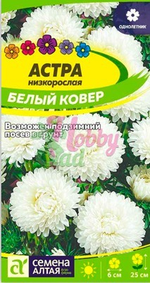 Цветы Астра Белый ковер низкорослая (0,2 гр) Семена Алтая