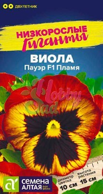 Цветы Виола Пауэр Пламя F1 (5 шт) Семена Алтая Низкорослые гиганты