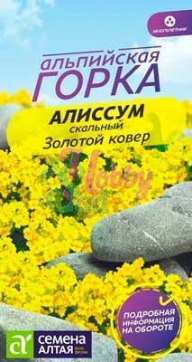 Цветы Алиссум Золотой Ковер (0,1 г) Семена Алтая Альпийская горка