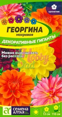 Цветы Георгина Декоративные гиганты (0,2 г) Семена Алтая
