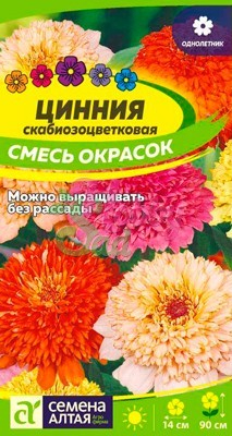 Цветы Цинния Скабиозоцветковая Смесь окрасок (0,3 г) Семена Алтая