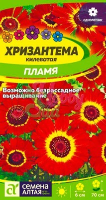 Цветы Хризантема Пламя килеватая (0,1 г) Семена Алтая