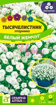 Цветы Тысячелистник Белый жемчуг (0,1 г) Семена Алтая