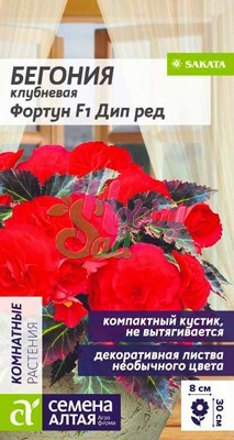 Цветы Бегония Фортун Дип Ред клубневая (5 шт) Семена Алтая Комнатные