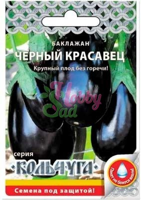 Баклажан Черный Красавец Кольчуга NEW (0,3 г) Русский Огород
