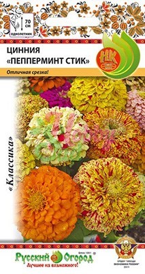 Цветы Цинния Пепперминт Стик смесь (30 шт) Русский Огород