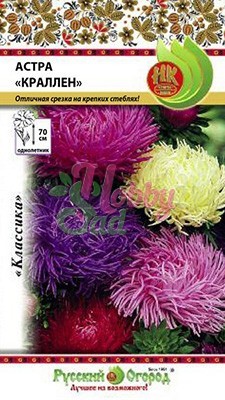 Цветы Астра Краллен смесь (0,3 г) Русский Огород