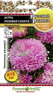 Цветы Астра Русский Размер Розовая соната (0,2 г) Русский Огород серия Русский Размер