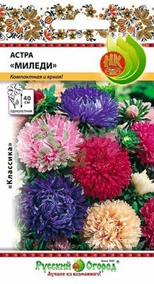 Цветы Астра Миледи смесь (0,3 г) Русский Огород