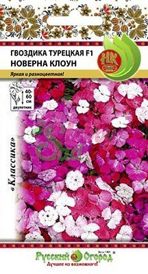 Цветы Гвоздика Новерна Клоун F1 турецкая (5 шт) Русский Огород