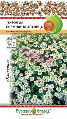 Цветы Танасетум Снежная Красавица (0,01 г) Русский Огород