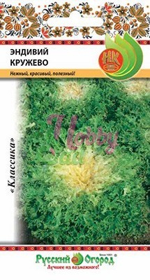Салат Эндивий Кружево листовой (0,5 г) Русский Огород
