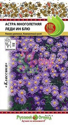 Цветы Астра Леди Ин Блу многолетняя альпийская (0,07 г) Русский Огород