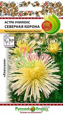 Цветы Астра Унилюкс Северная Корона (0,3 г) Русский Огород