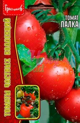 Томат Палка (8 шт) ЭКЗОТИКА