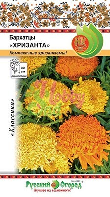 Цветы Бархатцы Хризанта (40 шт) Русский Огород