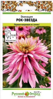 Цветы Эхинацея Рок звезда (5 шт) Русский Огород
