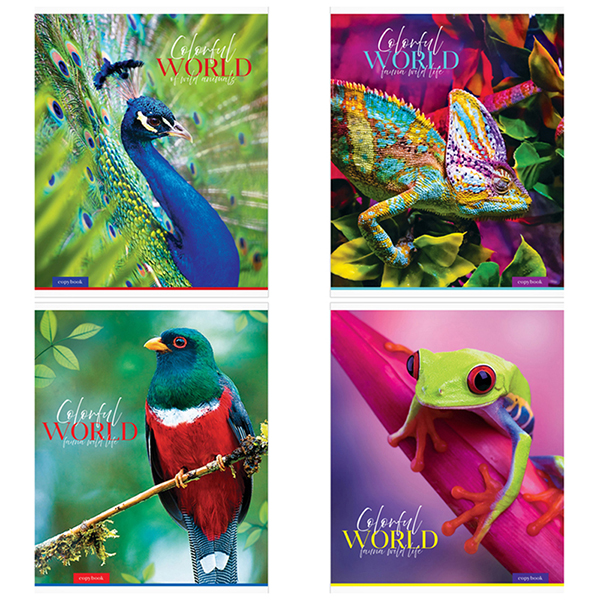 Тетрадь 48л. кл. ЭКОНОМ