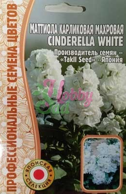 Цветы Маттиола Циндерелла Вайт (Cinderella White) карликовая махровая (5 шт) ЭКЗОТИКА