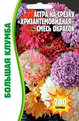 Цветы Астра Хризантемовидная смесь на срезку (200 шт) ЭКЗОТИКА