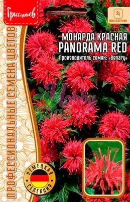 Цветы Монарда Panorama Red красная (5 шт) ЭКЗОТИКА