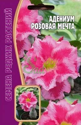 Цветы Адениум Розовая Мечта (3 шт) ЭКЗОТИКА Комнатные