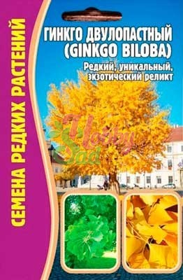 Цветы Гинкго двулопастный (Ginkgo biloba) (3 шт) ЭКЗОТИКА