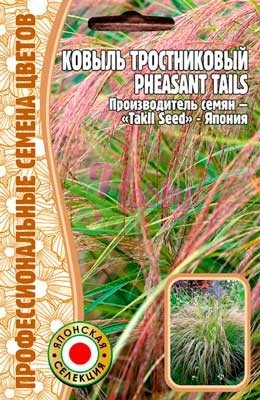 Цветы Ковыль Тростниковый Фасант тайлс  (Pheasant Tails) (10 шт) ЭКЗОТИКА