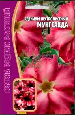 Цветы Адениум Мунгсагда (3 шт) ЭКЗОТИКА Комнатные