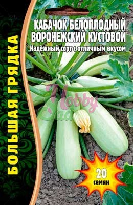 Кабачок Воронежский кустовой белоплодный (20 шт) ЭКЗОТИКА