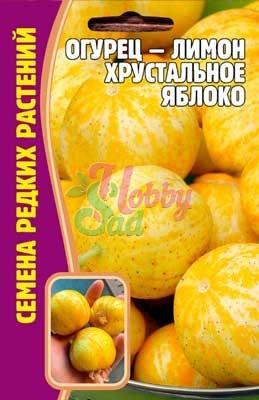 Огурец-Лимон Хрустальное Яблоко (10 шт) ЭКЗОТИКА США