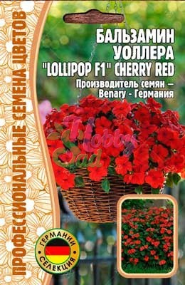 Цветы Бальзамин Уоллера Лоллипоп Черри Ред F1 CHERRY RED (5 шт) ЭКЗОТИКА